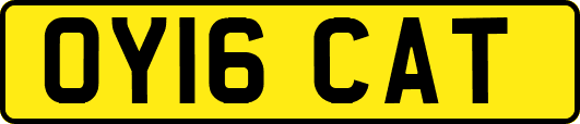 OY16CAT