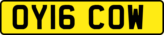 OY16COW