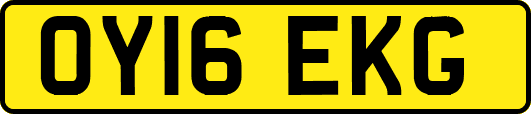 OY16EKG
