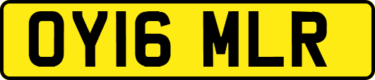 OY16MLR