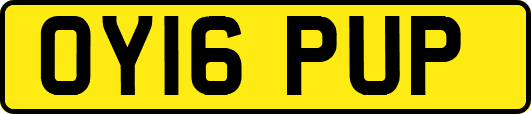 OY16PUP
