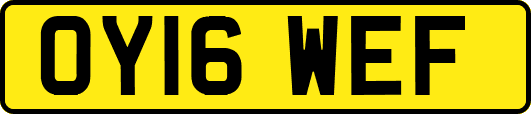 OY16WEF