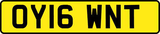 OY16WNT