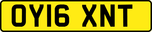 OY16XNT