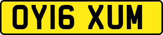 OY16XUM