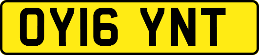 OY16YNT