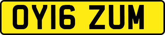 OY16ZUM