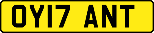 OY17ANT