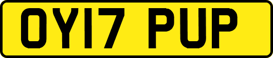 OY17PUP