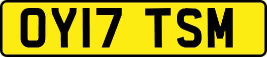 OY17TSM