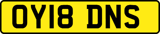 OY18DNS