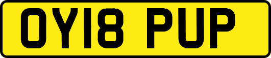 OY18PUP
