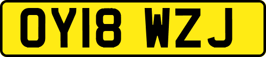OY18WZJ