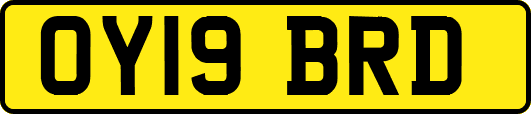 OY19BRD