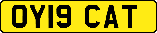 OY19CAT