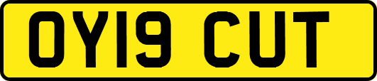 OY19CUT