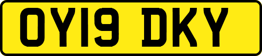 OY19DKY