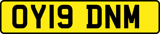 OY19DNM