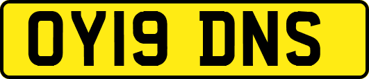 OY19DNS