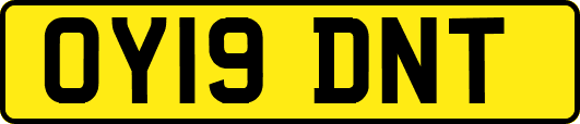 OY19DNT