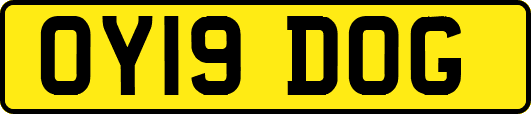 OY19DOG