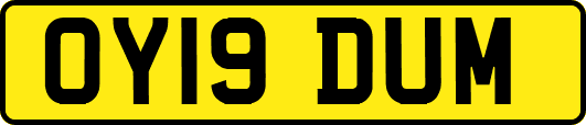 OY19DUM
