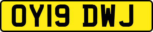 OY19DWJ