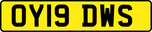 OY19DWS