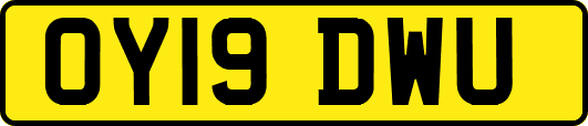 OY19DWU