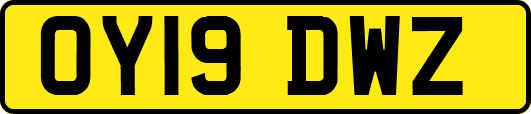OY19DWZ