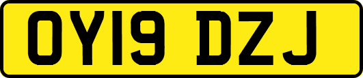 OY19DZJ