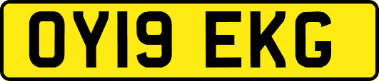OY19EKG