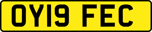 OY19FEC