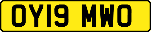 OY19MWO