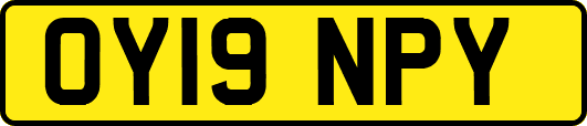 OY19NPY