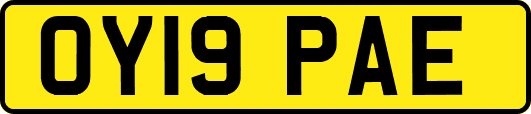OY19PAE