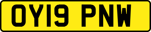 OY19PNW