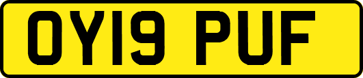 OY19PUF