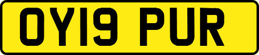 OY19PUR