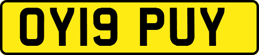OY19PUY