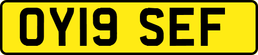 OY19SEF