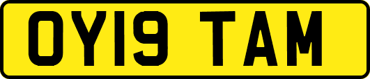 OY19TAM