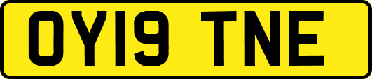 OY19TNE
