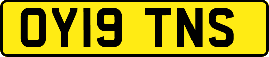 OY19TNS