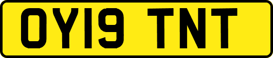 OY19TNT