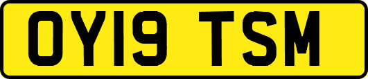 OY19TSM