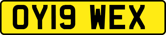 OY19WEX