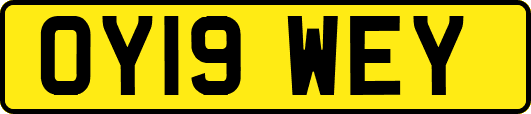 OY19WEY