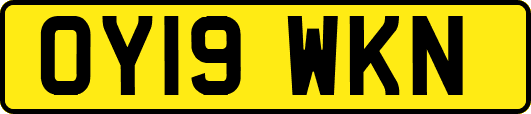 OY19WKN