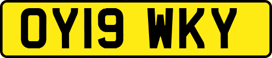 OY19WKY